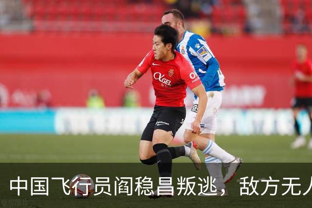 中国飞行员阎稳昌叛逃，敌方无人接应，最后撞山，结局悲惨，机毁人亡
